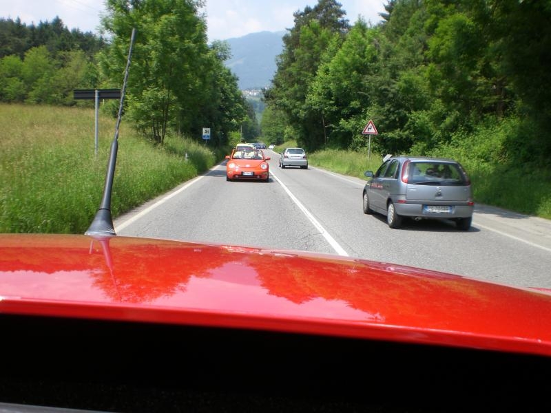 Il serpentone colorato.