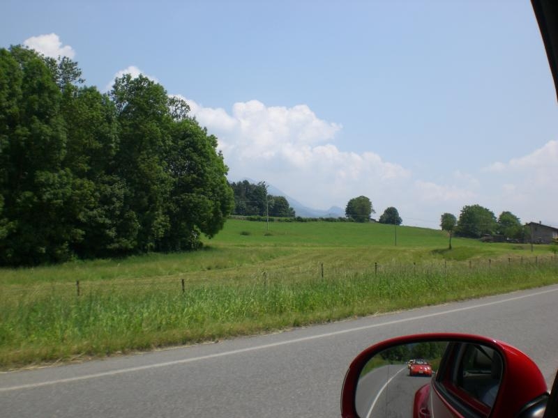 Il serpentone colorato.