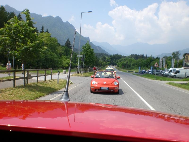 Il serpentone colorato.