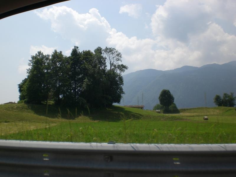 Il serpentone colorato.