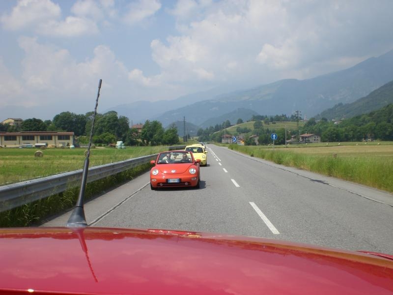 Il serpentone colorato.