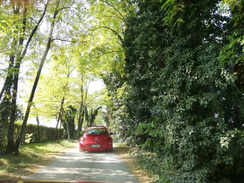 img 20181014 132034 small