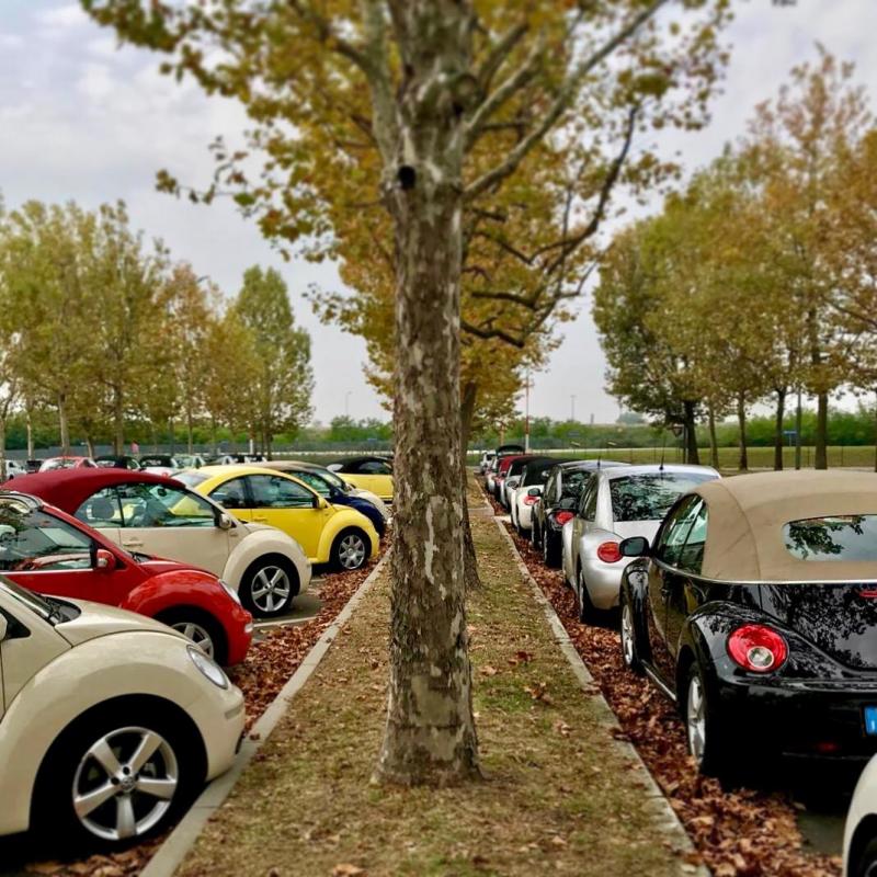 img-20191007-wa0016 434339