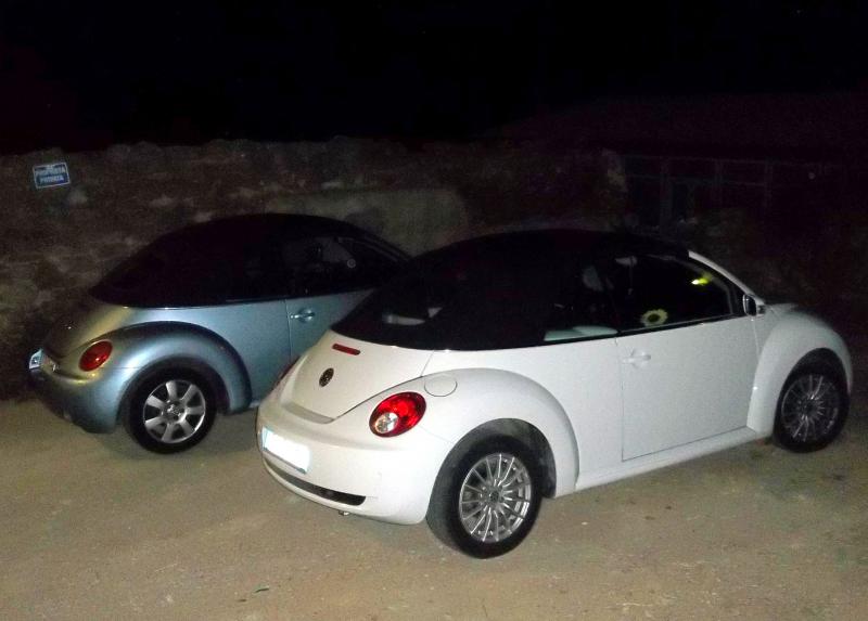 Isola del Giglio Estate 2015