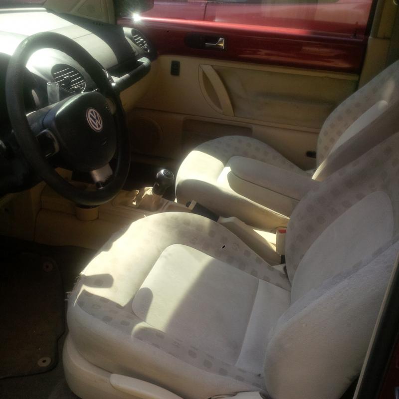 La Bischera-con-le-galline