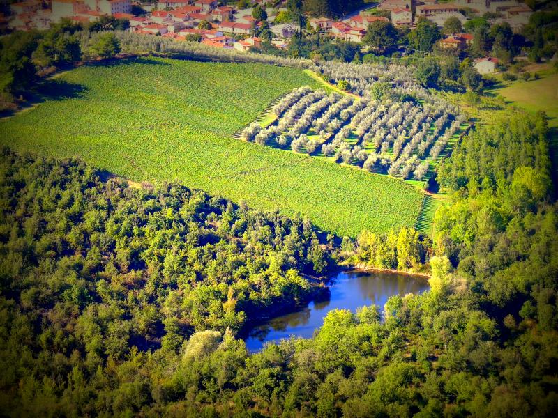 La mia ex VW Golf mk3 1.9 tdi 110ps '94