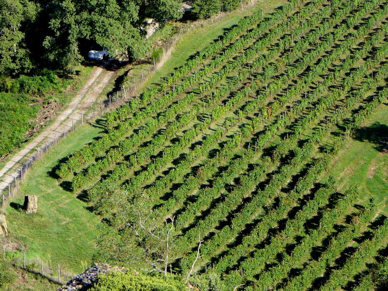 La mia ex VW Golf mk3 1.9 tdi 110ps '94