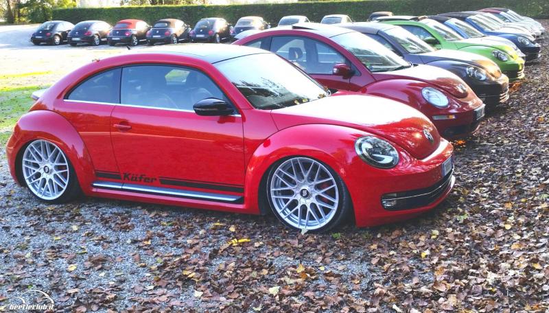 La mia NIU e la sua GUARDIA DEL CORPO