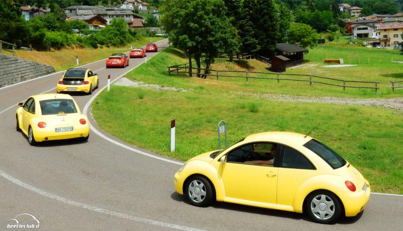 La mia NIU e la sua GUARDIA DEL CORPO