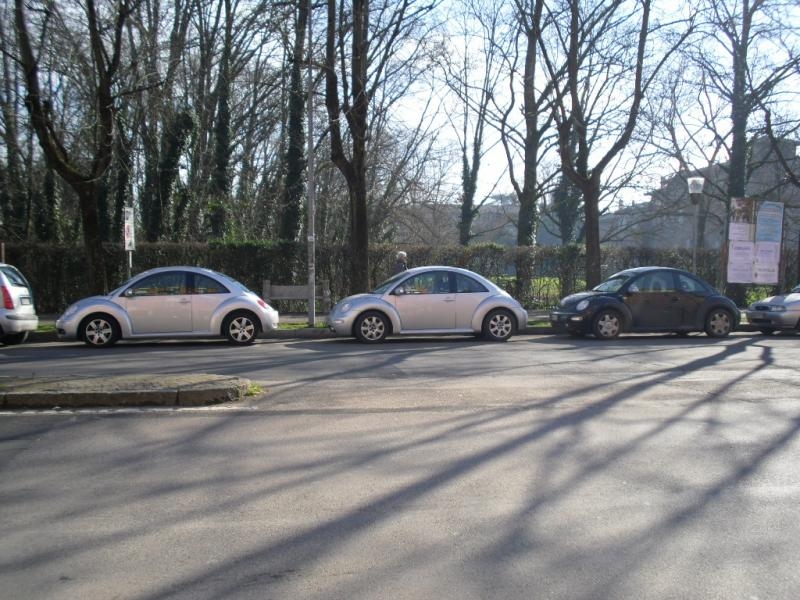 la mia prima assemblea soci