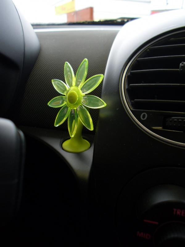 la mia Vw New Beetle