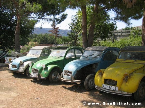 Le Foto dei Membri!