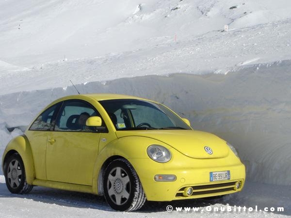 Le Foto dei Membri!