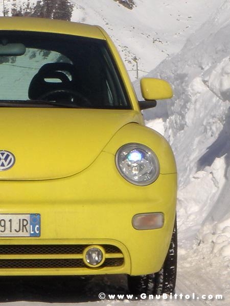 Le Foto dei Membri!