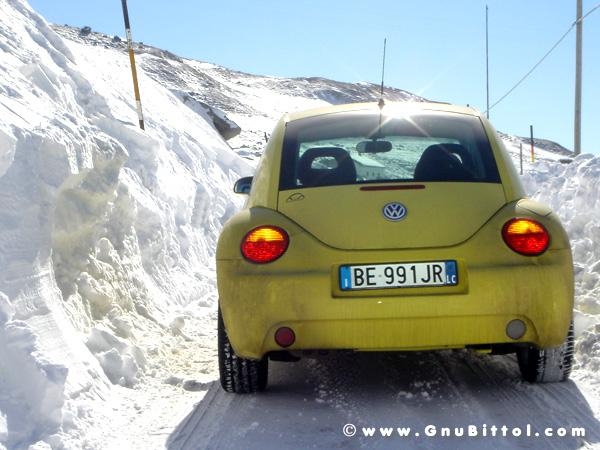 Le Foto dei Membri!