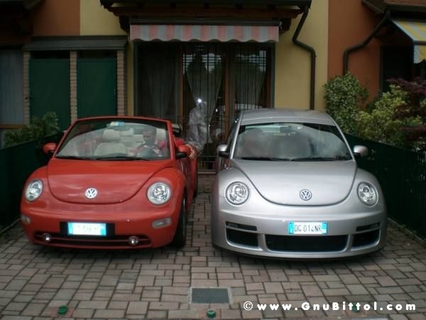 Le vacanze dei Gnubitters!