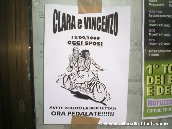 Le vacanze dei Gnubitters!