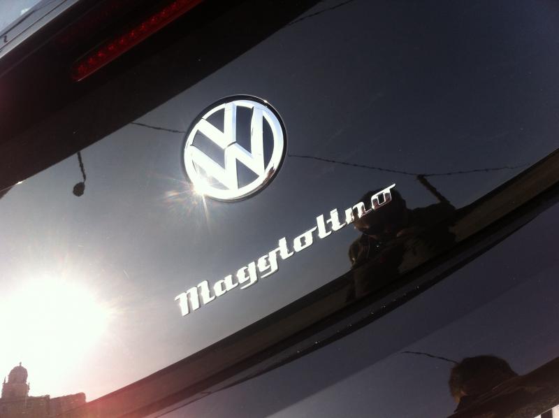 Le vacanze dei Gnubitters!