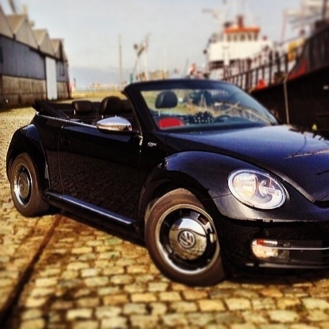 Le vacanze dei Gnubitters!