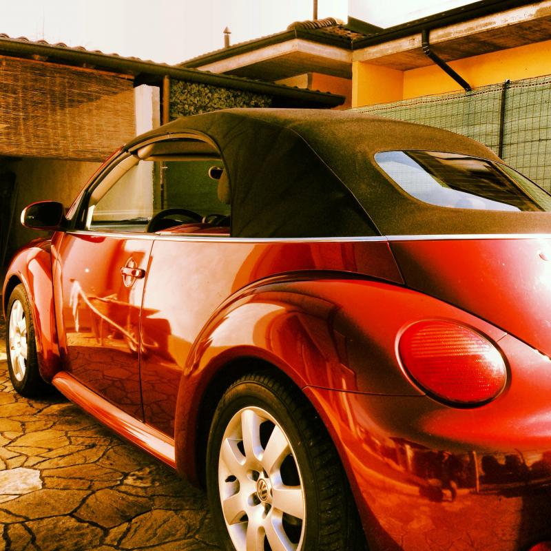 Le vacanze dei Gnubitters!