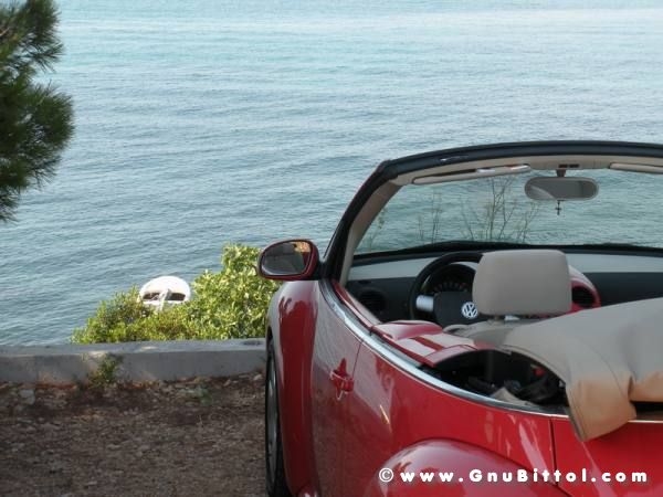 Le vacanze dei Gnubitters!