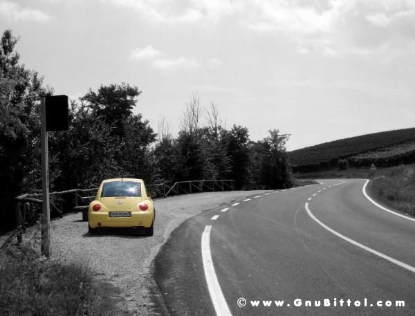 Le vacanze dei Gnubitters!