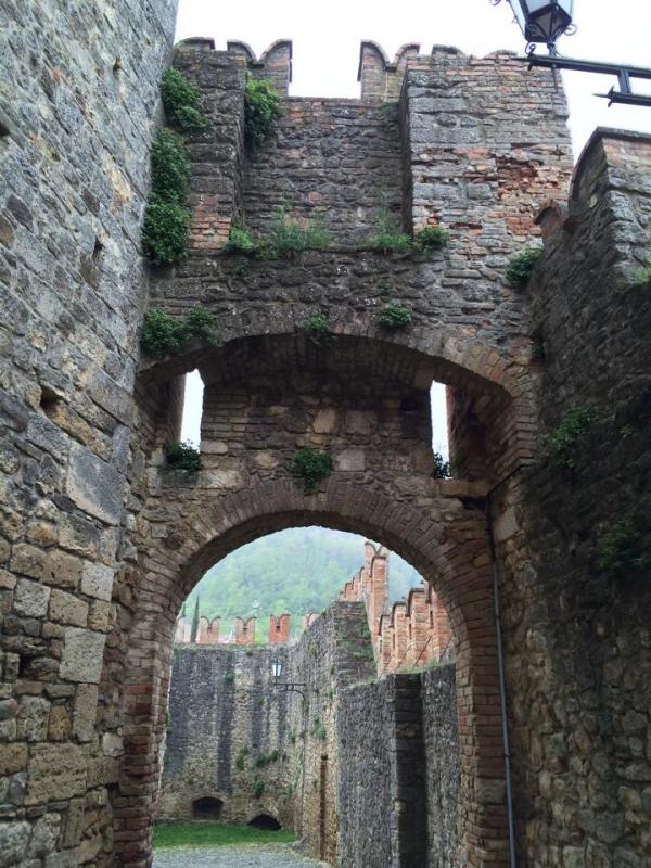 Le vacanze dei Gnubitters!