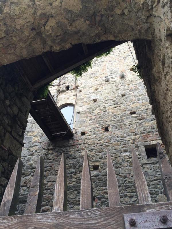 Le vacanze dei Gnubitters!