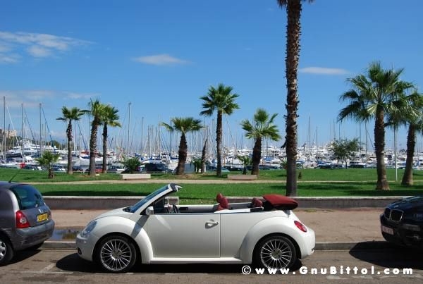 Le vacanze dei Gnubitters!