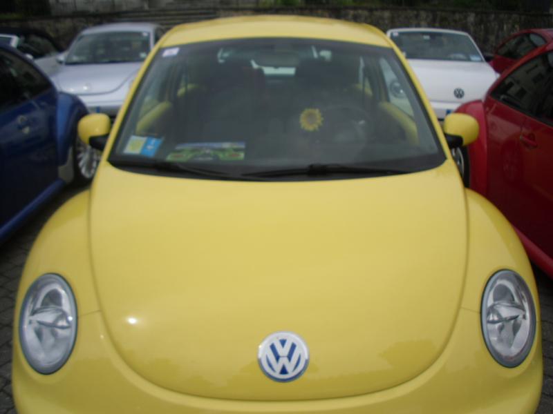 Le vacanze dei Gnubitters!