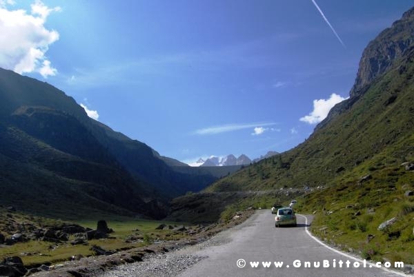 Le vacanze dei Gnubitters!