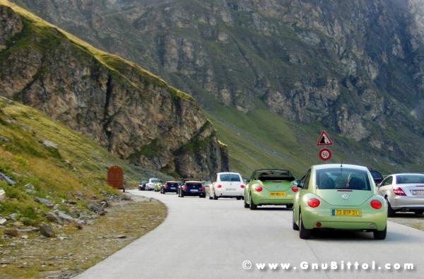 Le vacanze dei Gnubitters!