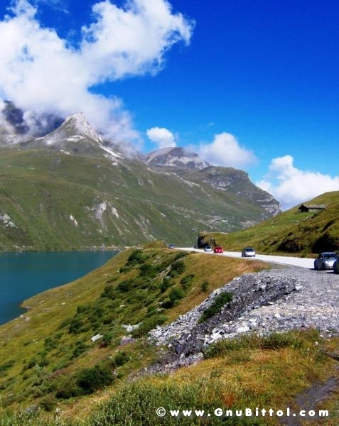 Le vacanze dei Gnubitters!