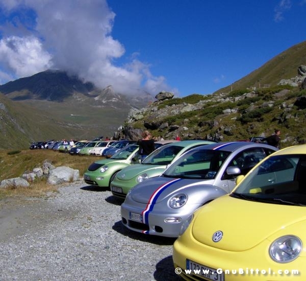 Le vacanze dei Gnubitters!