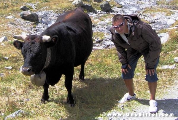 Le vacanze dei Gnubitters!