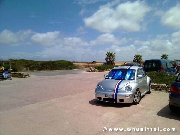 Le vacanze dei Gnubitters!