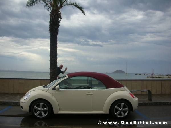 Le vacanze dei Gnubitters!