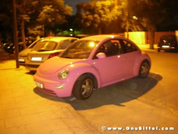 Le vacanze dei Gnubitters!