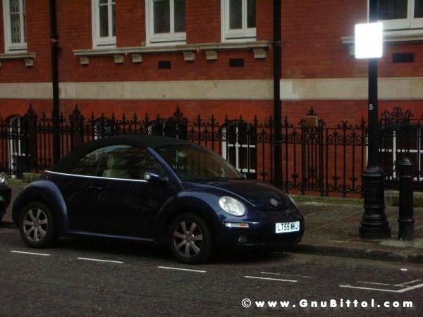 Le vacanze dei Gnubitters!