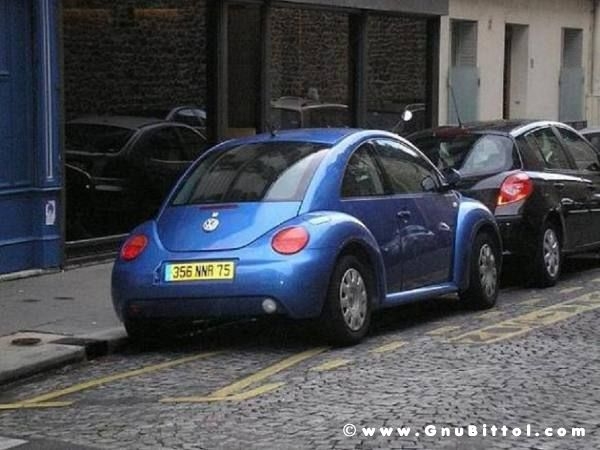 Le vacanze dei Gnubitters!