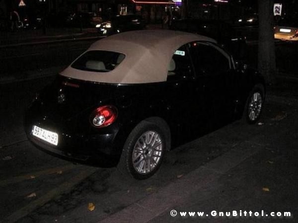 Le vacanze dei Gnubitters!