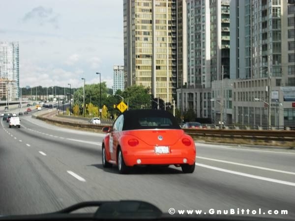 Le vacanze dei Gnubitters!