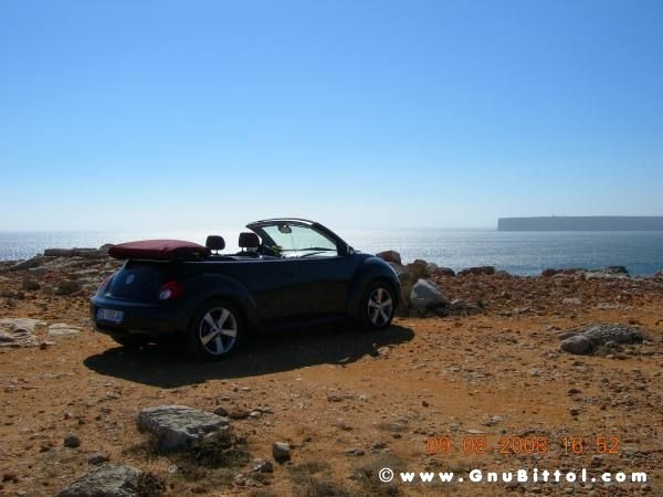 Le vacanze dei Gnubitters!