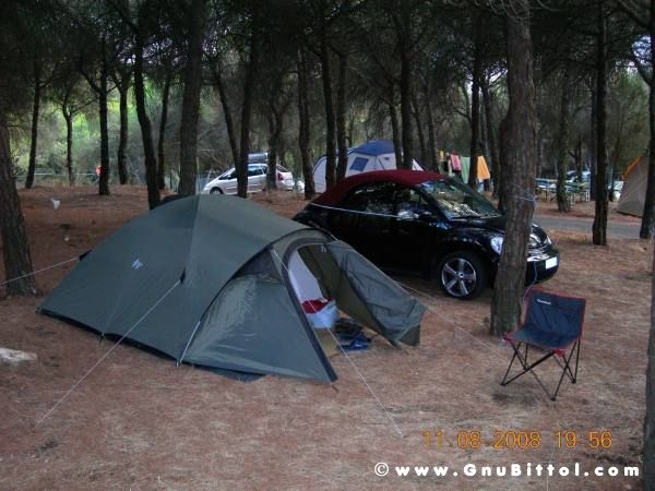 Le vacanze dei Gnubitters!