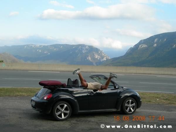 Le vacanze dei Gnubitters!