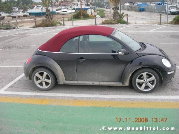 Le vacanze dei Gnubitters!