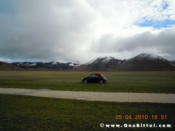 Le vacanze dei Gnubitters!