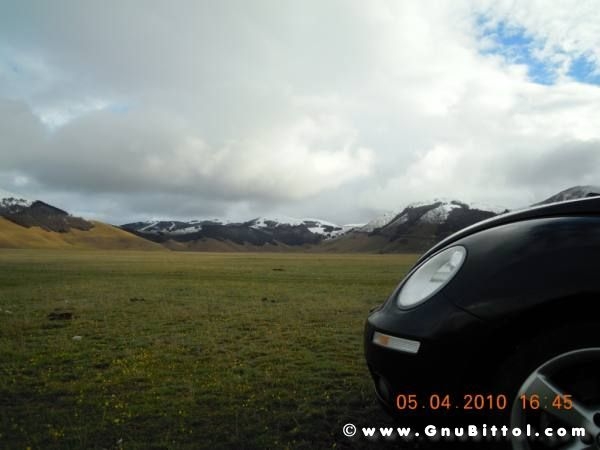 Le vacanze dei Gnubitters!