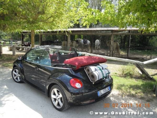 Le vacanze dei Gnubitters!