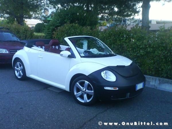 Le vacanze dei Gnubitters!